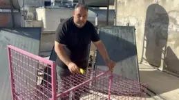 Tarsus’taki Hırsız Maymunu Yakalama Çabaları Başarısızlıkla Sonuçlandı