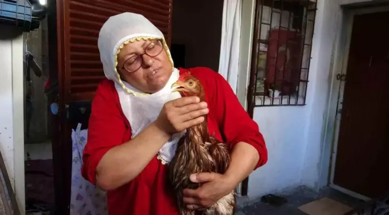 Kadının Tavuk Aşkı: Gözde İçin Veteriner Arayışı