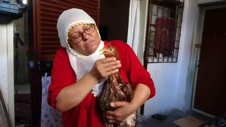 Kadının Tavuk Aşkı: Gözde İçin Veteriner Arayışı