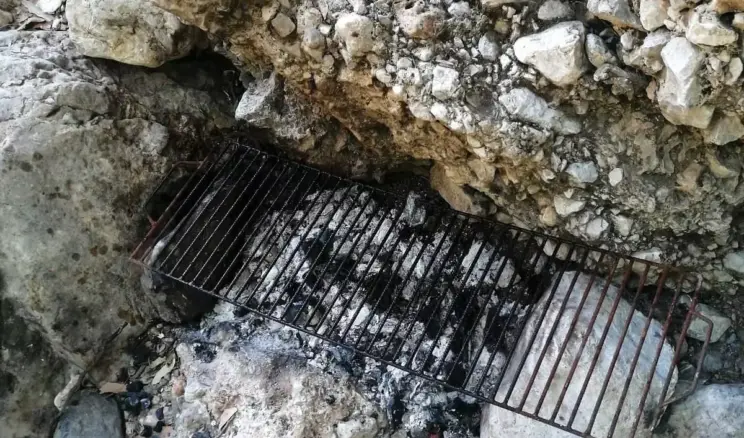 Mersin’de Ormanlık Alanda Piknik Yapanlara Ceza