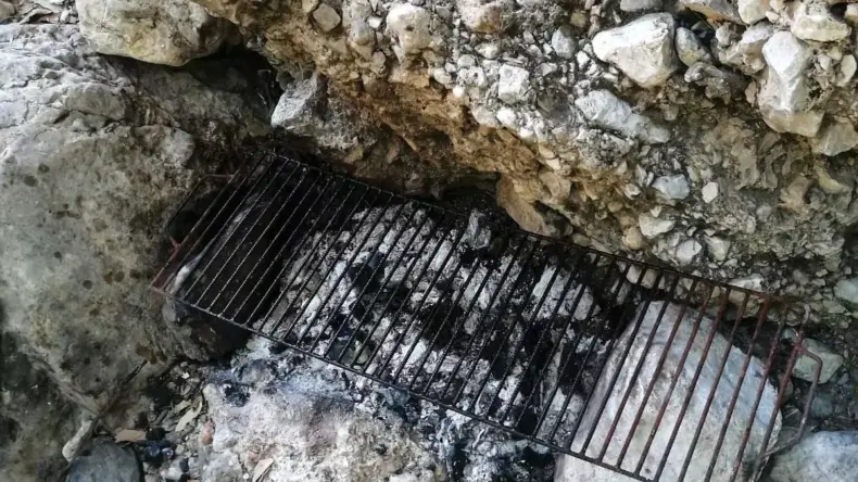 Mersin’de Ormanlık Alanda Piknik Yapanlara Ceza