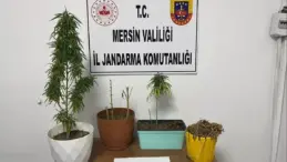 Mersin’de Uyuşturucu Operasyonu: 8 Gözaltı