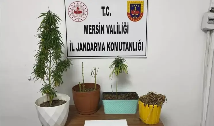 Mersin’de Uyuşturucu Operasyonu: 8 Gözaltı