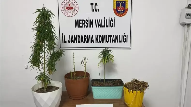 Mersin’de Uyuşturucu Operasyonu: 8 Gözaltı